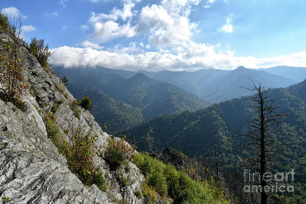 Chimney Tops Poster featuring the photograph Chimney Tops 23 by Phil Perkins