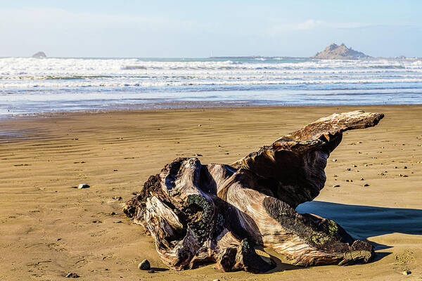 Landscape Poster featuring the photograph Coast Of Oregon-3 by Claude Dalley