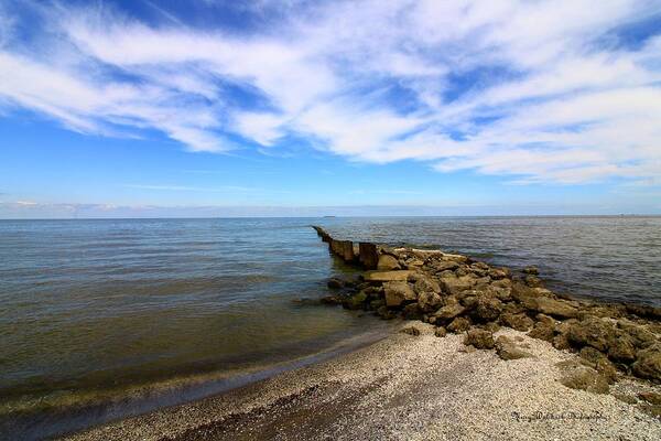 Lake Erie Poster featuring the photograph Coastal Ohio Series 1 by Mary Walchuck