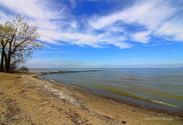 Lake Erie Poster featuring the photograph Coastal Ohio Series 2 by Mary Walchuck