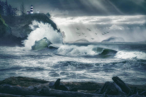 Landscape Poster featuring the photograph Coastal Storm by Judi Kubes