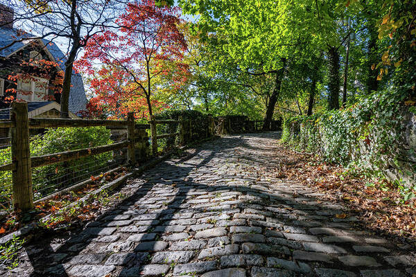 Autumn Poster featuring the photograph Cobblestones in Autumn by Kevin Suttlehan