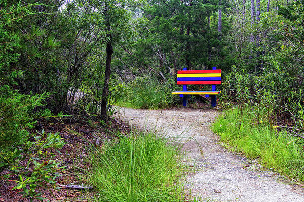 Park Bench Poster featuring the photograph Colorful Park Bench on the Tideland Trail by Bob Decker