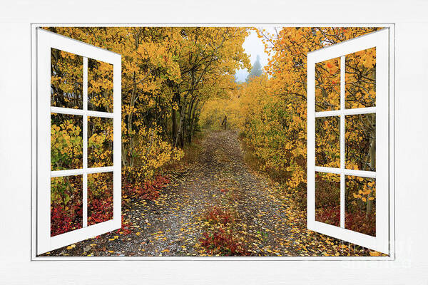 Open Window Poster featuring the photograph Colorful Trees Down the Drive White Open Window Frame View by James BO Insogna