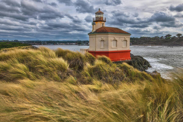 Bandon Poster featuring the photograph Coquille Winds by Darren White