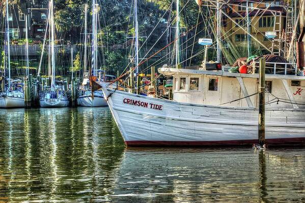 Water Poster featuring the photograph Crimson Tide in the Sunshine by Michael Thomas