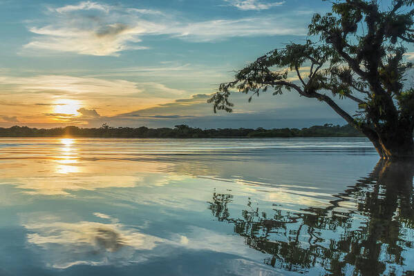 Amazon Poster featuring the photograph Cuyabeno sunset Laguna Grande by Henri Leduc