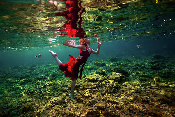 Underwater Poster featuring the photograph Dancing by Gemma Silvestre