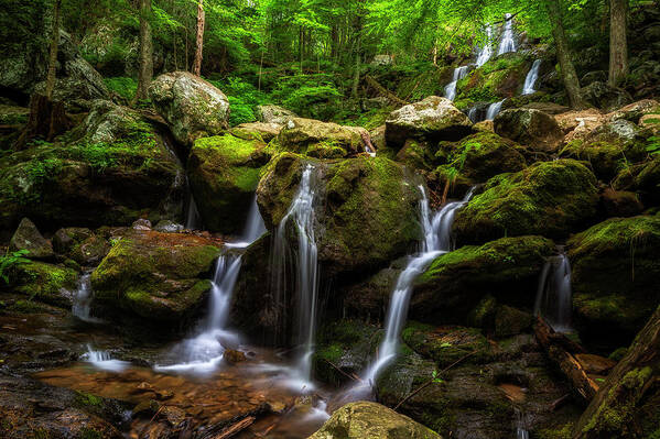 Dark Hollow Falls Poster featuring the photograph Dark Hollow Falls 5 by Mark Papke