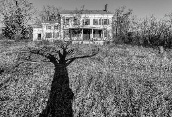 Voorhees Farm Poster featuring the photograph Death Tree by David Letts