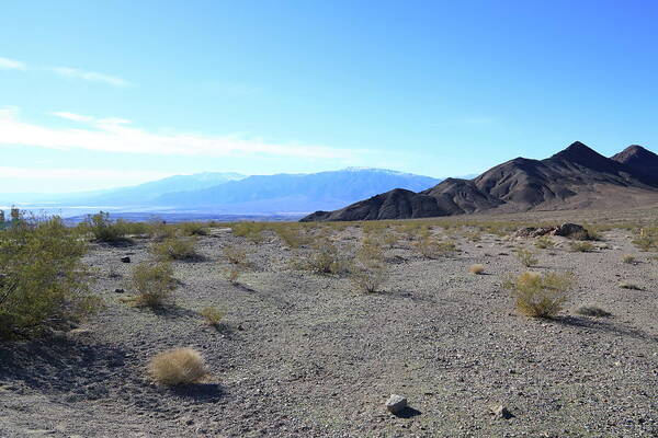 California Poster featuring the photograph Death Valley National Park by Jonathan Babon