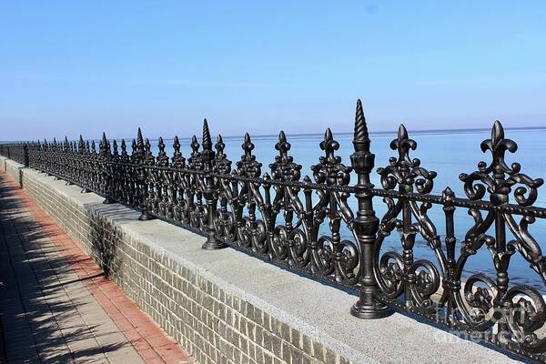  Poster featuring the photograph Decorative fence by Annamaria Frost