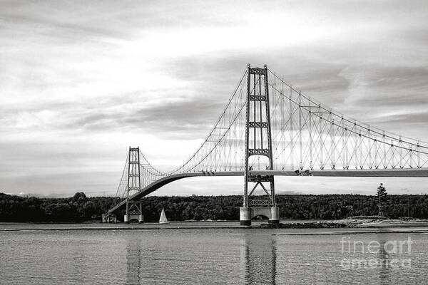 Deer Poster featuring the photograph Deer Isle Bridge by Olivier Le Queinec