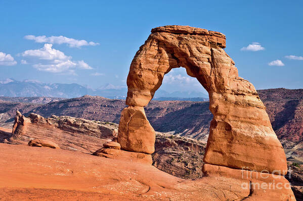 Arches Poster featuring the photograph Delicate Arch Arches National Park by Delphimages Photo Creations