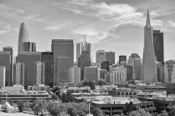 San Francisco Poster featuring the photograph Dense Skyline of Downtown San Francisco Black and White by Shawn O'Brien