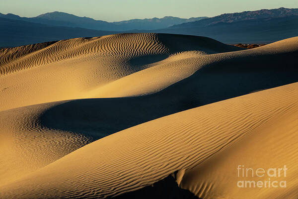 Death Valley Poster featuring the photograph Desert Dunes by Erin Marie Davis