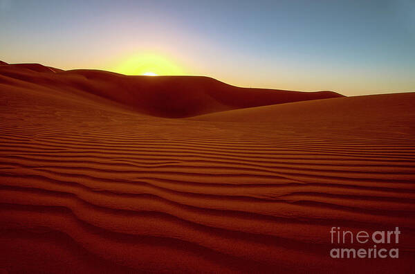 Desert Poster featuring the photograph Desert Sunset by Jennifer Magallon