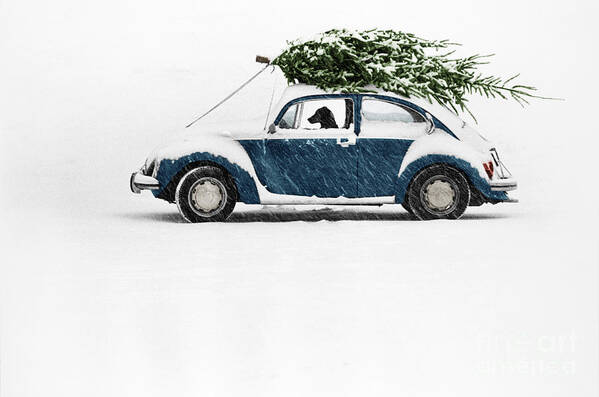 Americana Poster featuring the photograph Dog in Car with Christmas Tree by Ulrike Welsch