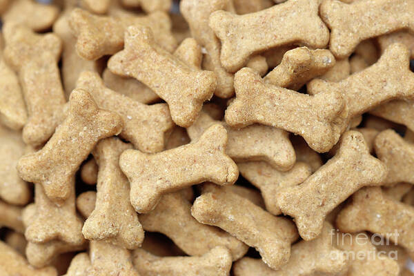 Dog Poster featuring the photograph Dog Treats by Vivian Krug Cotton