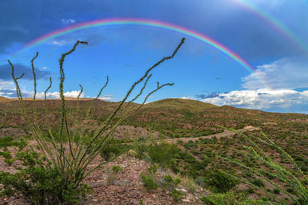 Landscape Poster featuring the photograph Double Desert Rainbow by Erin K Images