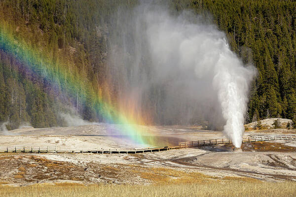 Yellowstone National Park Poster featuring the photograph Double The Pleasure by Ann Skelton