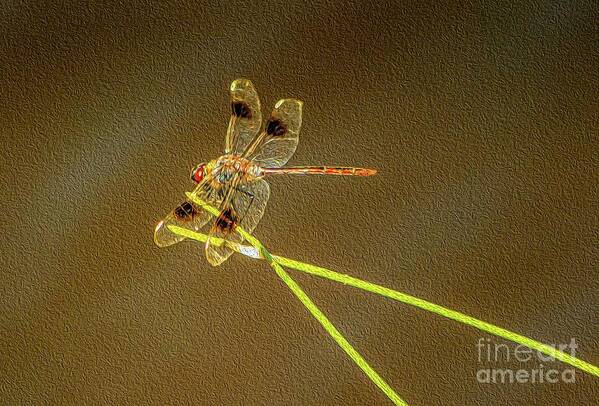 Dragon Fly Poster featuring the digital art Dragonfly by Patti Powers