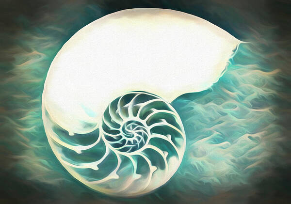 Florida Poster featuring the photograph Dreamy Nautilus Shell by Debra and Dave Vanderlaan