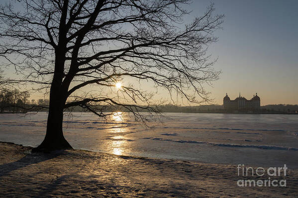 Dreamy Poster featuring the photograph Winter sunset at Moritzburg Castle 1 by Adriana Mueller