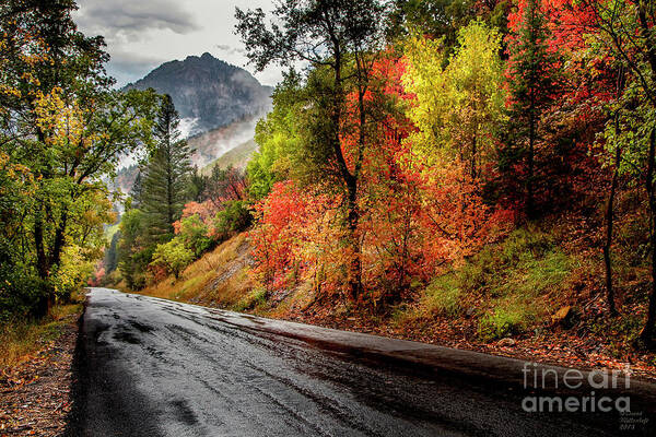 Drive Into Fall Poster featuring the photograph Drive into Fall by David Millenheft