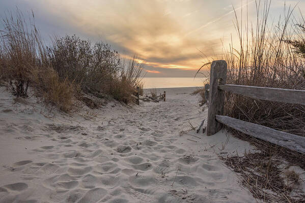 Cape May Poster featuring the photograph Dusky by Kristopher Schoenleber