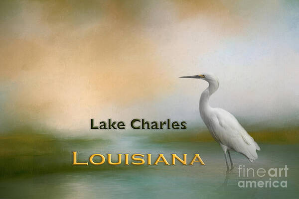 Lake Charles Poster featuring the digital art Egret Lake Charles LA by Elisabeth Lucas