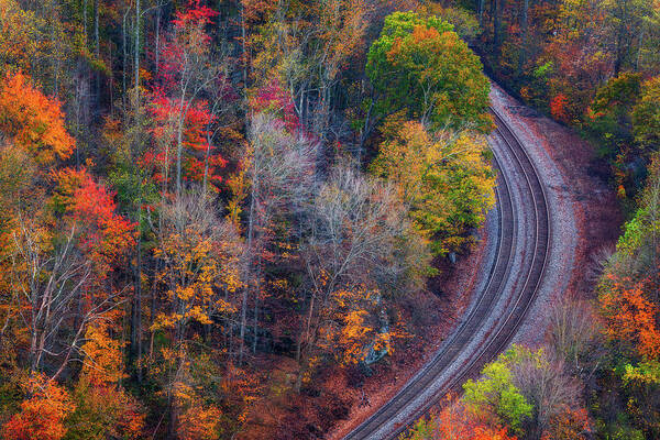 Fall Poster featuring the photograph Empty Tracks in the Fall by Darren White