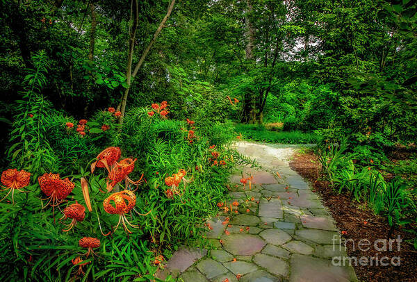 Lily Poster featuring the photograph Enchanting Pathway at Duke Gardens by Shelia Hunt