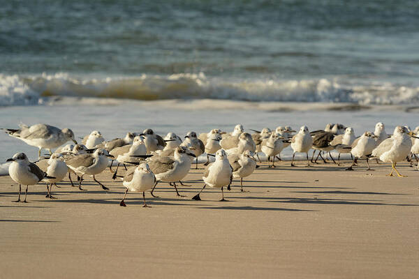 North Carolina Poster featuring the photograph Exercise on the Beach by Joni Eskridge