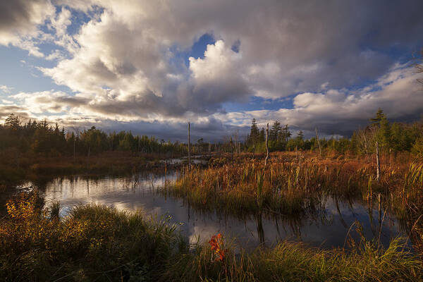 Blue Moutain- Birch Cove Lakes Wilderness Area Poster featuring the photograph Fall Evening Pond by Irwin Barrett