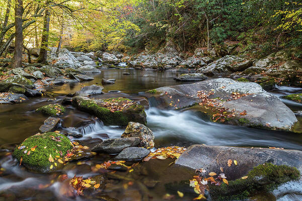 Fall Poster featuring the photograph Fall Mountain Stream by Jim Miller