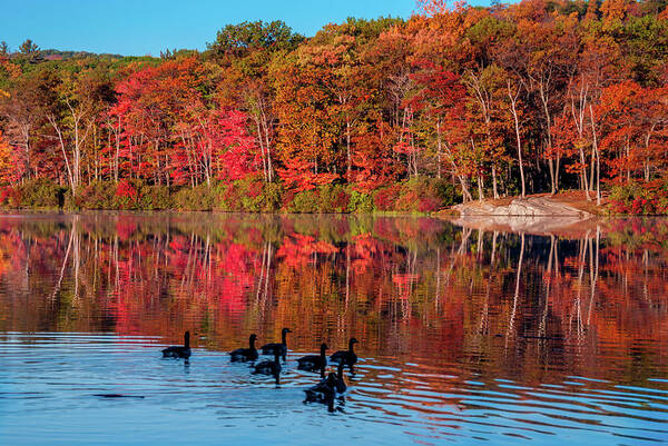 Harriman State Park Poster featuring the photograph Fall Tranquility by Anthony Sacco