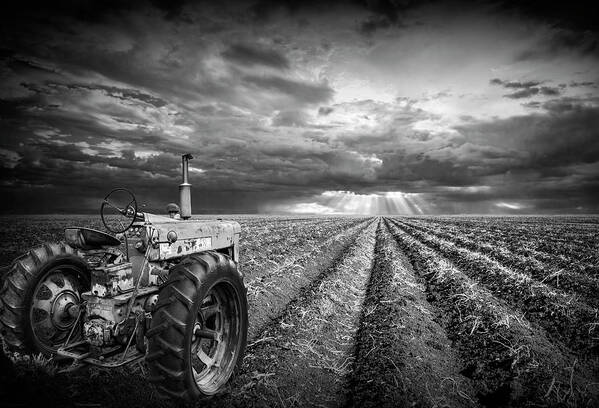 Art Poster featuring the photograph Farmall Tractor with Field Furrows and Sunburst Sky in Black and by Randall Nyhof
