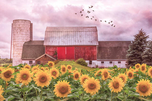 Barn Poster featuring the photograph Farmer's Country Field by Debra and Dave Vanderlaan