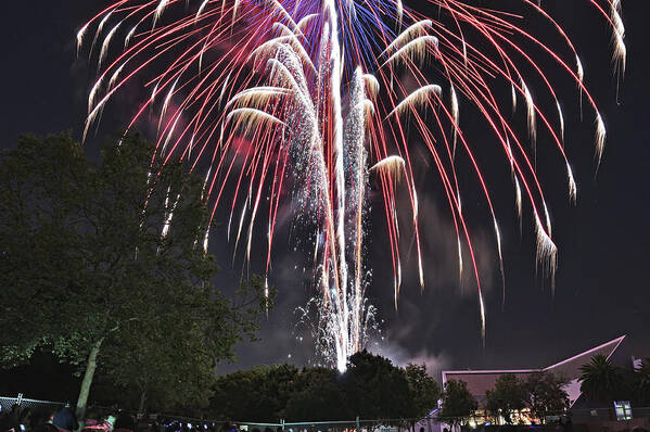 Firework Poster featuring the photograph Firework Celebration by Amazing Action Photo Video