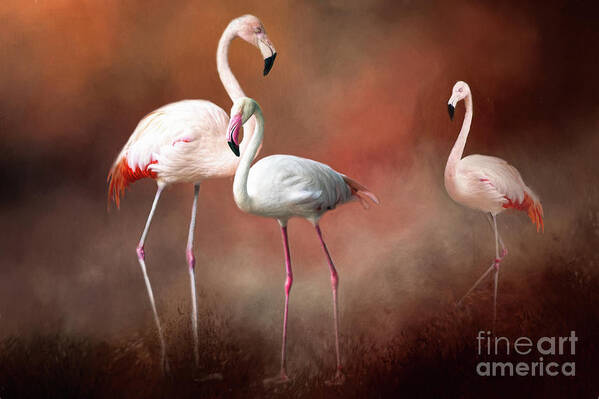 Bird Poster featuring the photograph Flamingos by Ed Taylor