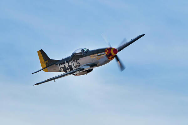 P-51 Poster featuring the photograph Flight of the P51 by American Landscapes