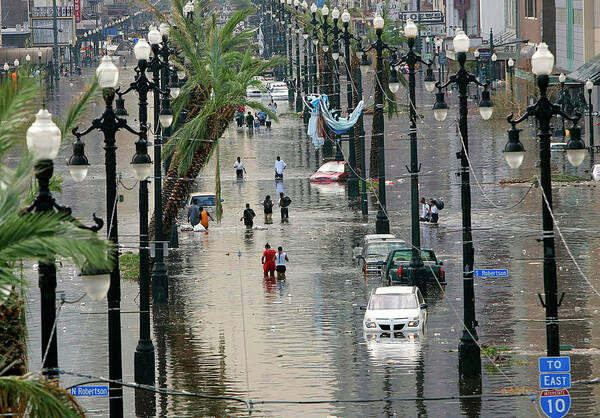 Canal Street Poster featuring the photograph Flooded New Orleans after Hurricane by Rick Wilking