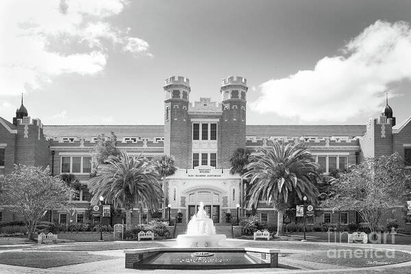 Florida State University Poster featuring the photograph Florida State University Westcott Building by University Icons