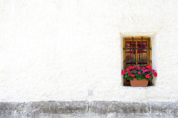 Colorful Flowers Sit In A Window In Slovenia. Poster featuring the photograph Flowers outside a Window by Tito Slack