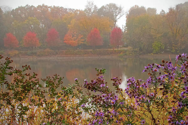 Autumn Poster featuring the photograph Foggy Day on the Fox River by Ira Marcus