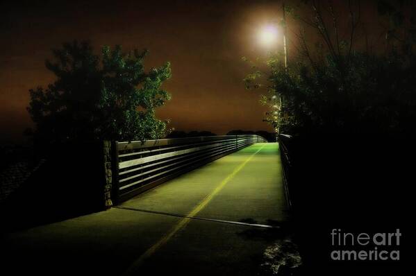 Walkaround Poster featuring the photograph Foggy Path by Diana Mary Sharpton