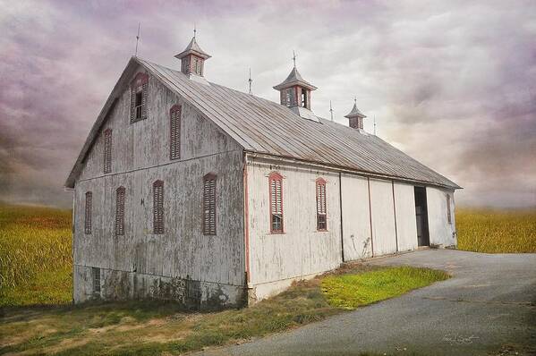 Barns Poster featuring the photograph Forgotten by Fran J Scott