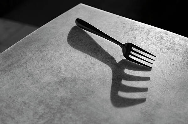 Minimalism Poster featuring the photograph Fork Shadow by Prakash Ghai