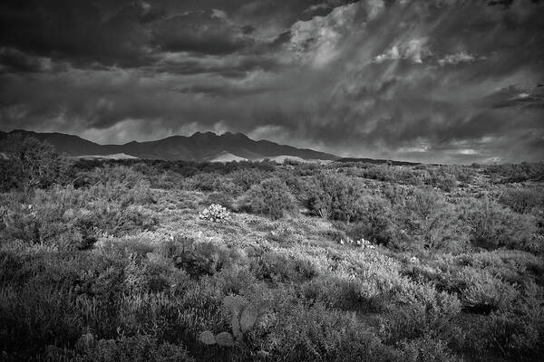 Four Peaks Poster featuring the photograph Four Peaks Black and White by Chance Kafka